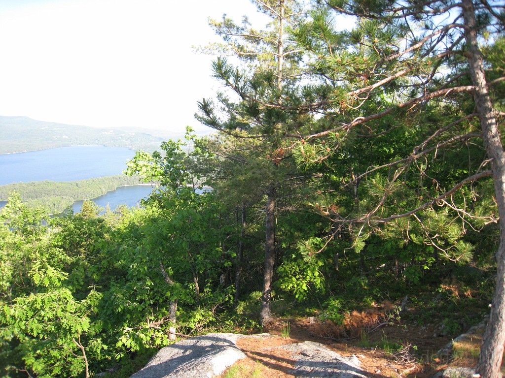 Elwell Trail NH 2010 245.jpg - The Elwell Trail North of Bristol NH, runs along Newfound Lake. The trail goes to Little and Big Sugarloaf mountains. Supposedly it also connects to Mt Cardigan. May 2010.